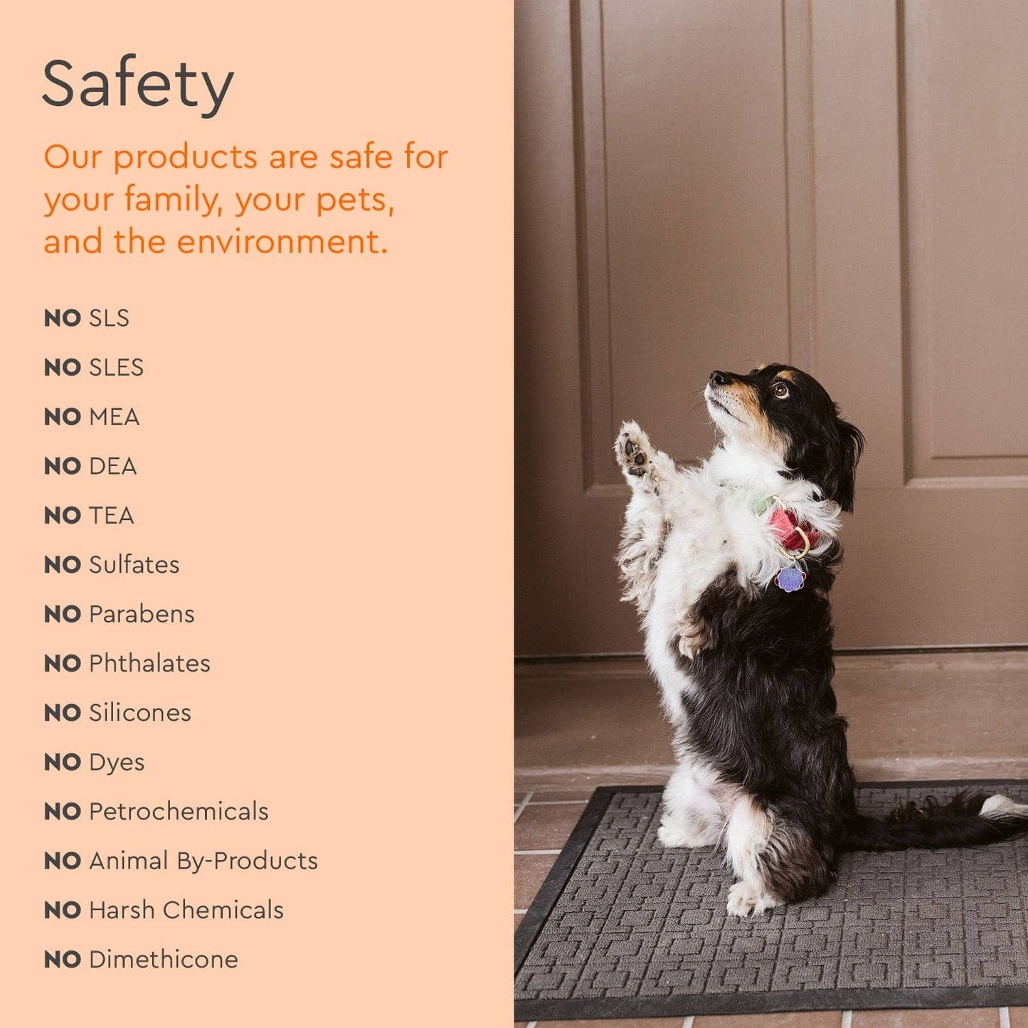 pet stain & odor remover