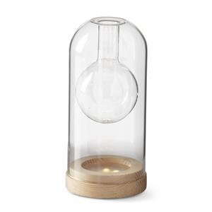 clear glass led cloche bud vases w/ timers