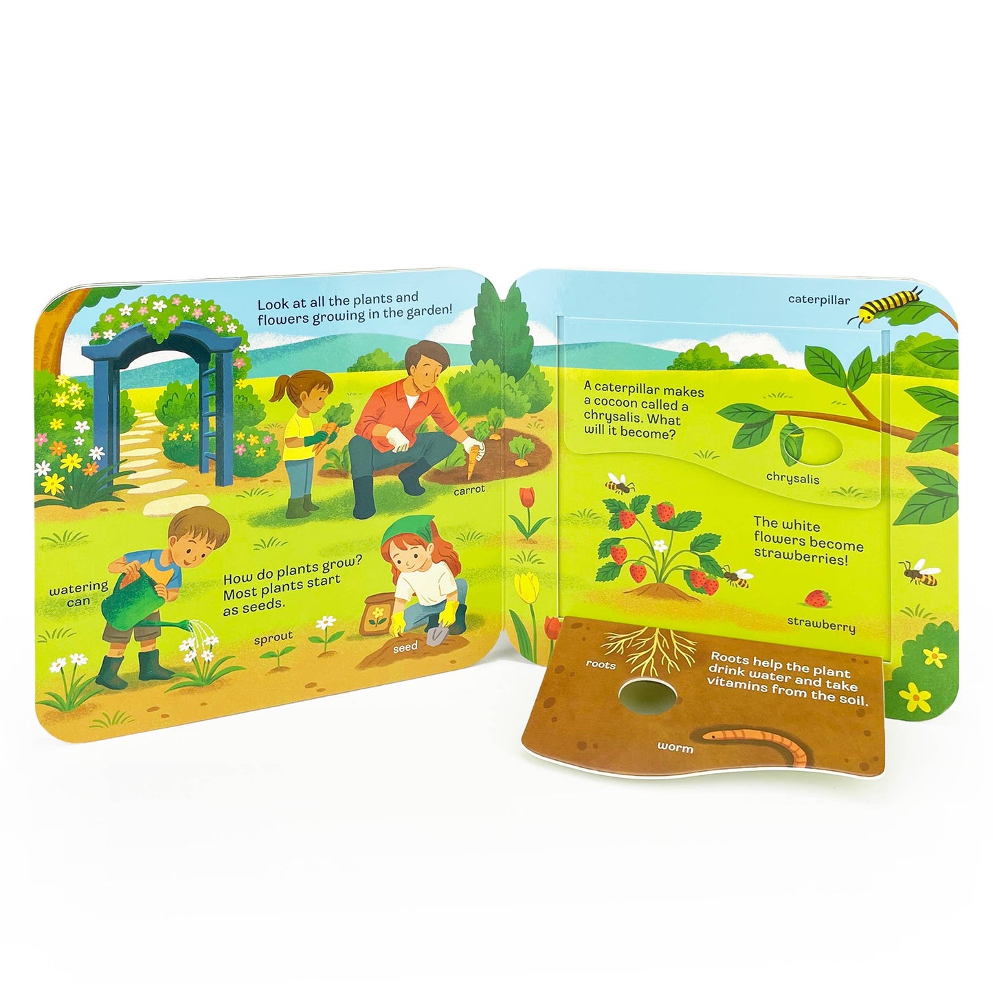 grow lift-a-flap board book - Ivory Soul