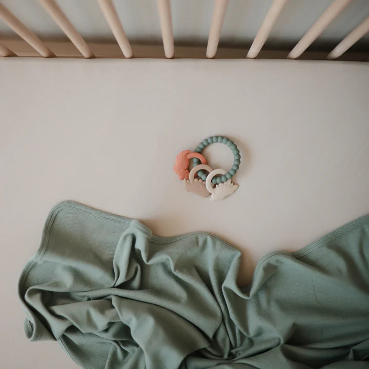 dino teething ring