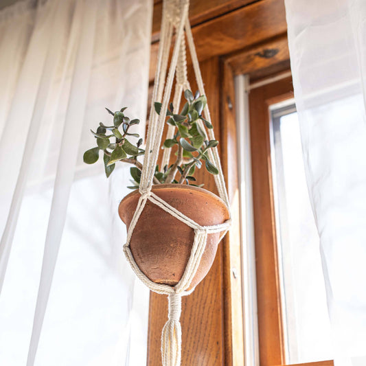 landon macrame plant hanger white cotton rope + bamboo