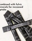 creatine+ stick