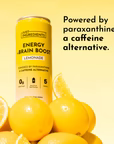 lemonade energy + brain boost, 12 pack