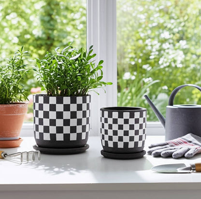 brown + white ceramic saucer planter