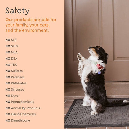 pet stain & odor remover