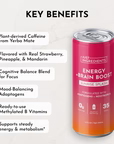 sunrise splash energy + brain boost, 12 pack