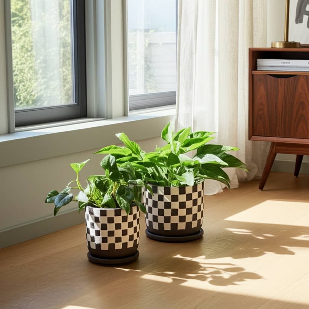 brown + white ceramic saucer planter