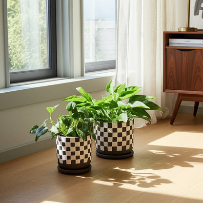 brown + white ceramic saucer planter