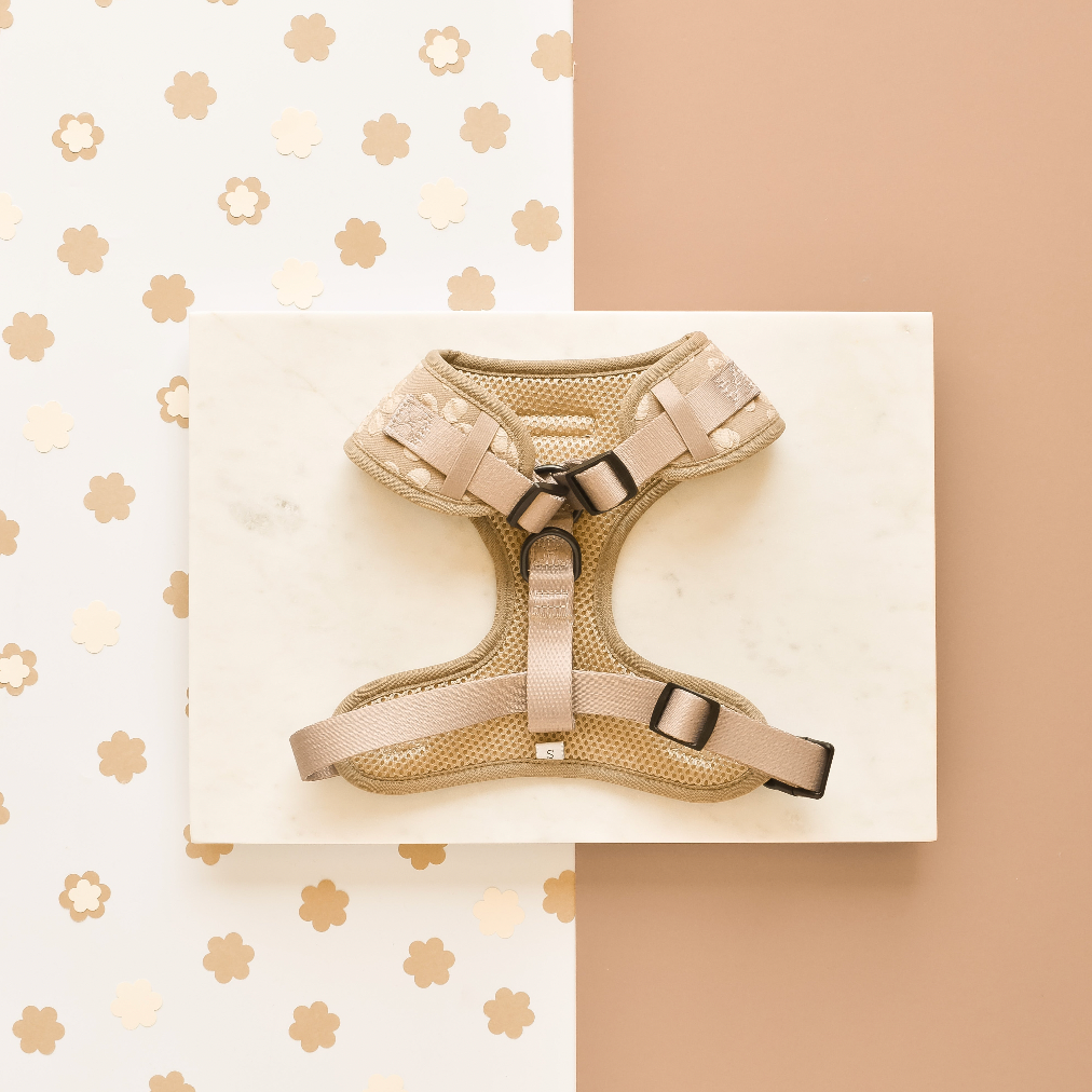 luxe - adjustable neck harness - mocha flower