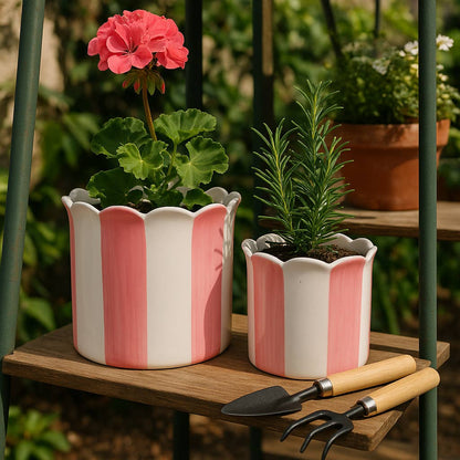 pink ceramic striped scallop planter
