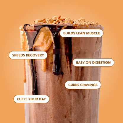 chocolate peanut butter protein powder | 10 servings
