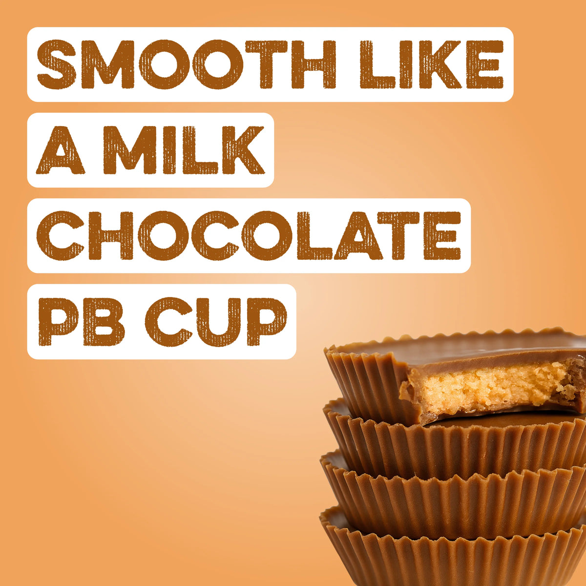 chocolate peanut butter protein powder | 10 servings