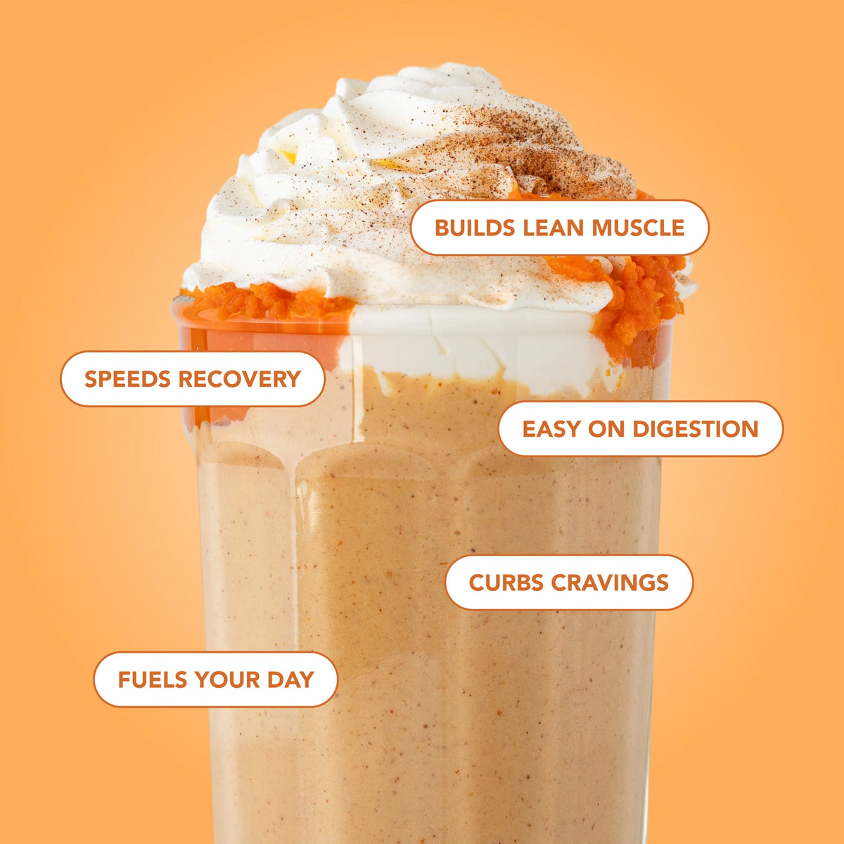 pumpkin pie protein powder | 10 servings