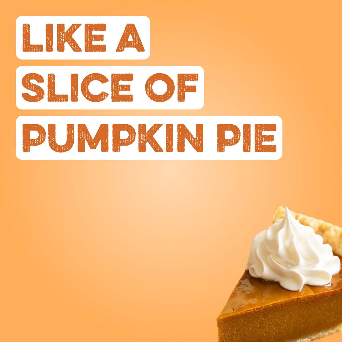pumpkin pie protein powder | 10 servings