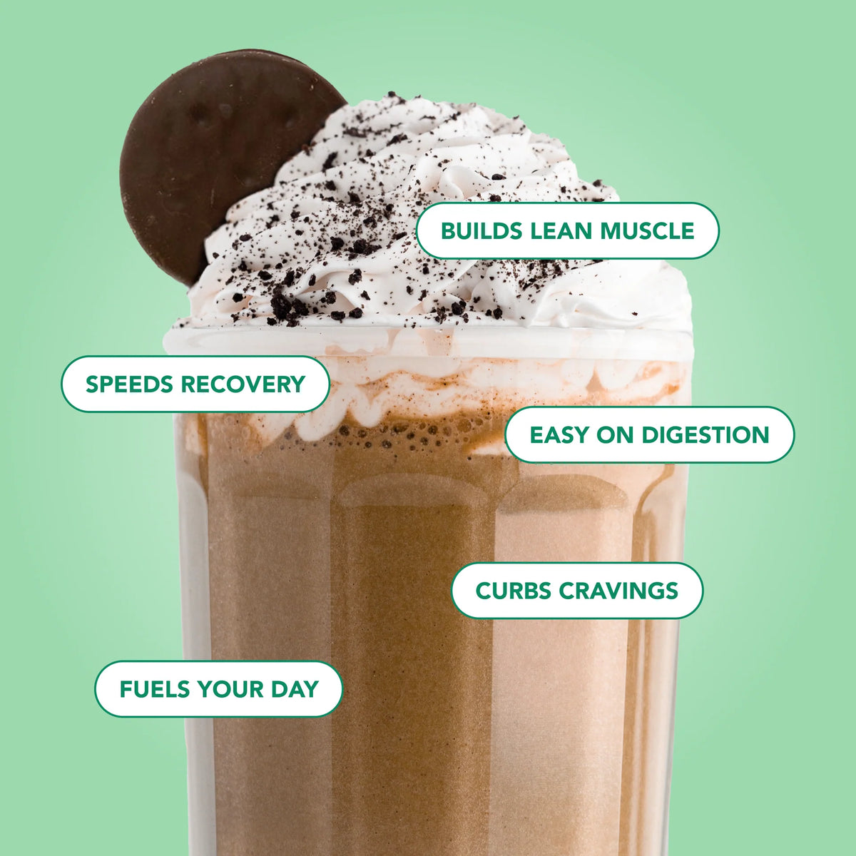 mint chocolate cookie protein powder | 20 servings