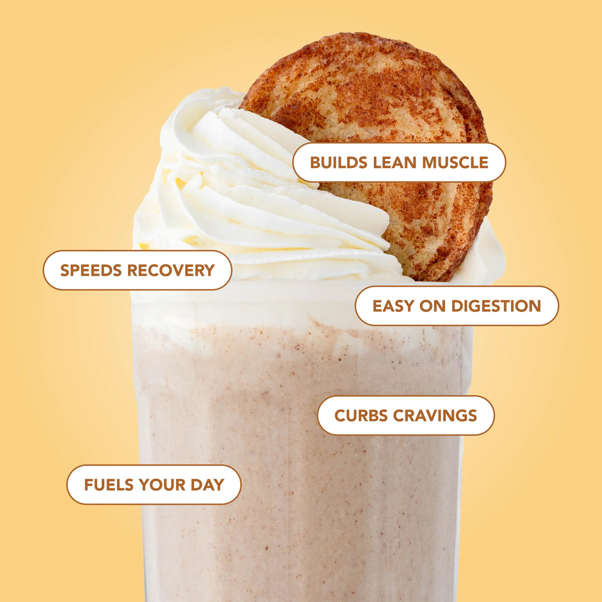 snickerdoodle protein powder | 20 servings