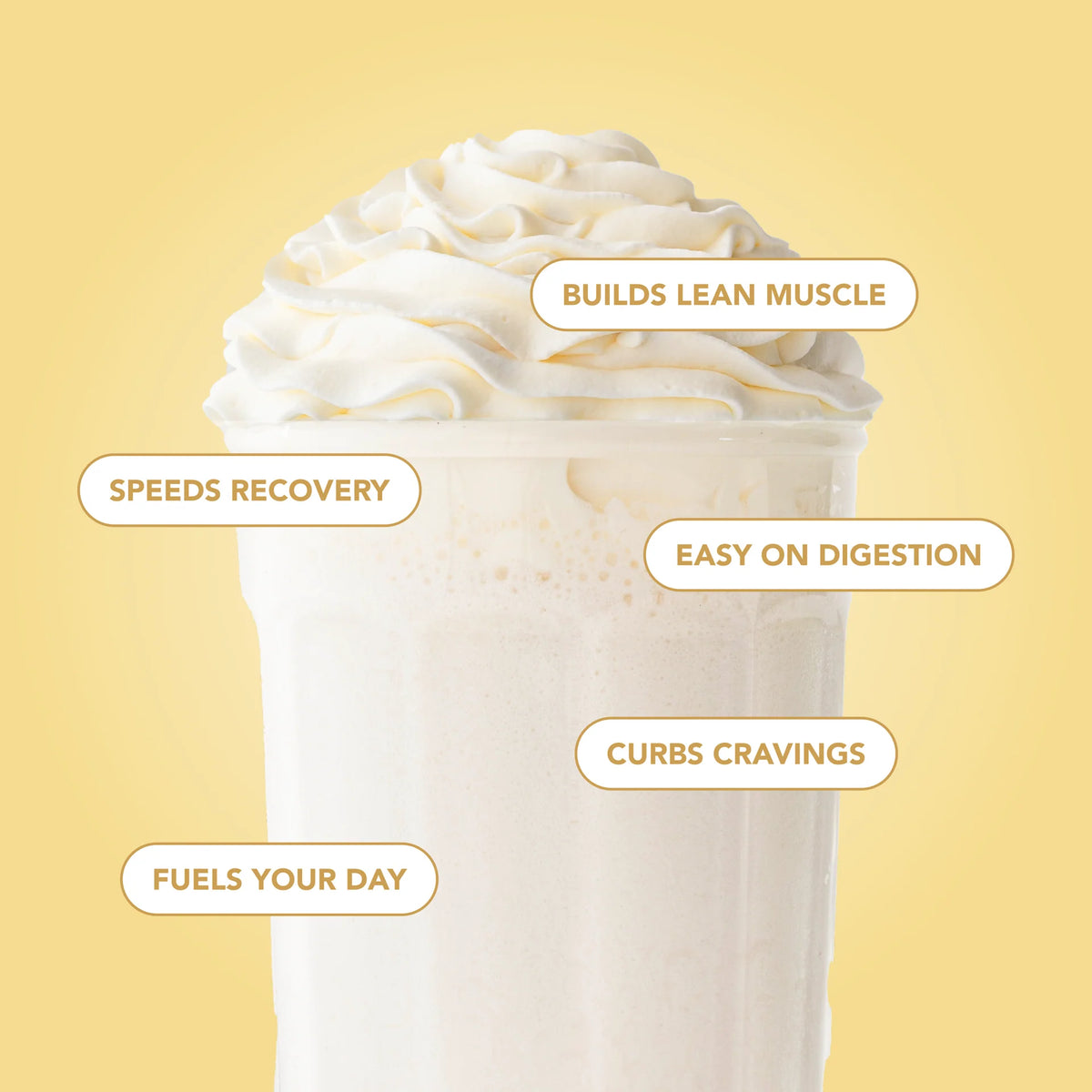 simply vanilla protein powder | 30 servings