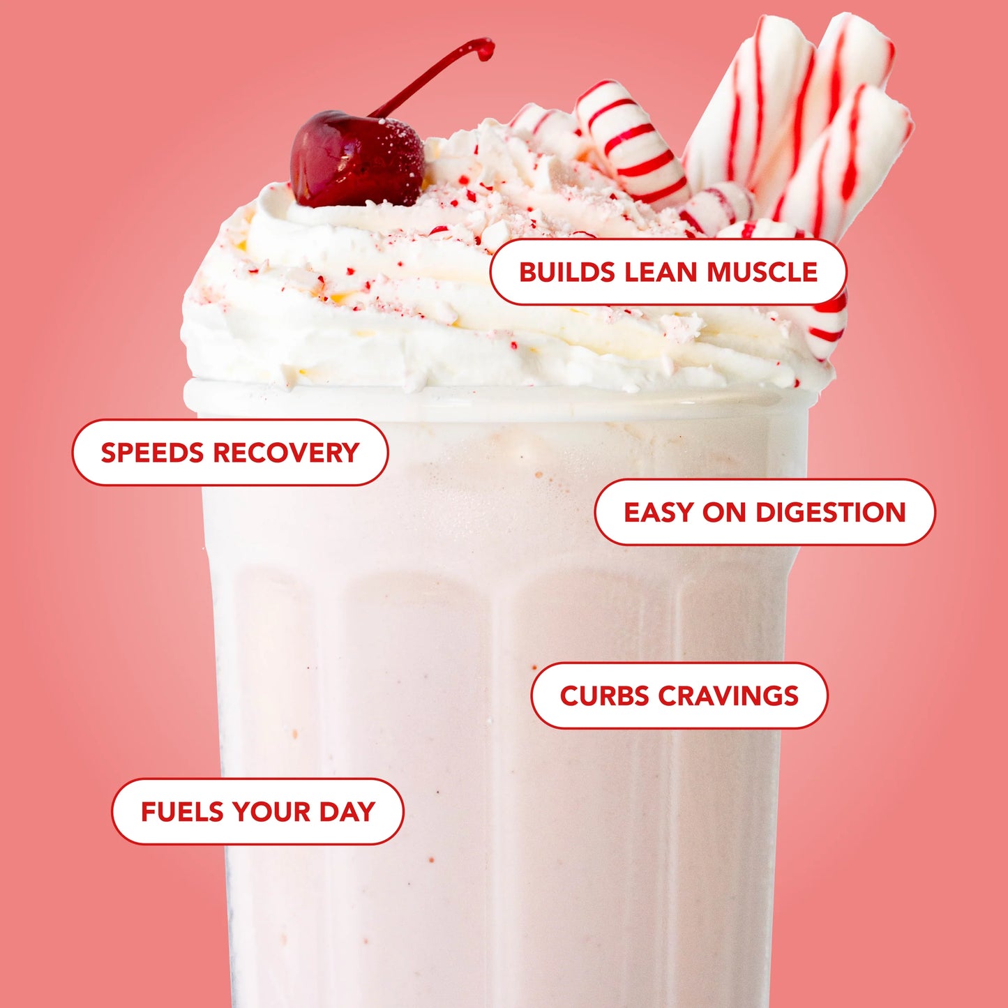white chocolate peppermint protein powder | 30 servings