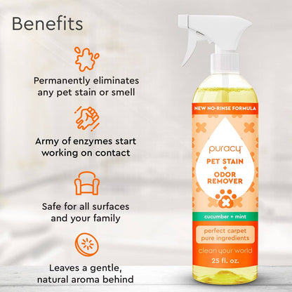 pet stain & odor remover