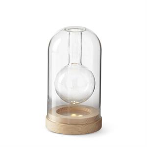 clear glass led cloche bud vases w/ timers