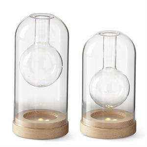 clear glass led cloche bud vases w/ timers
