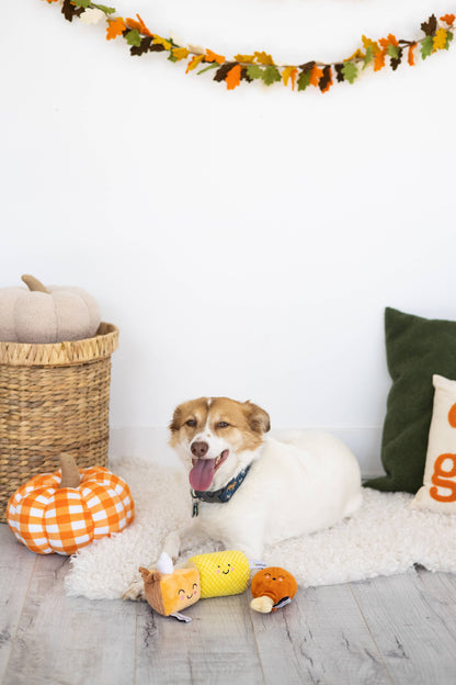 cream sherpa pumpkin