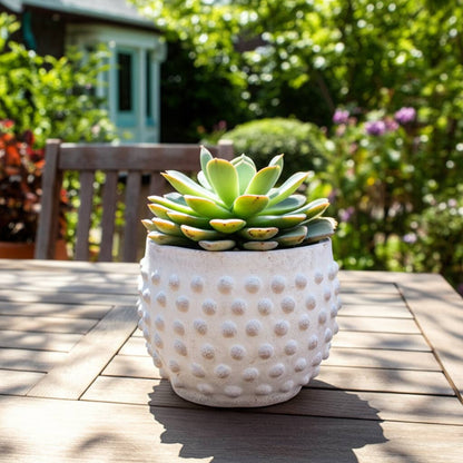 white terracotta round bubble rough finish planter
