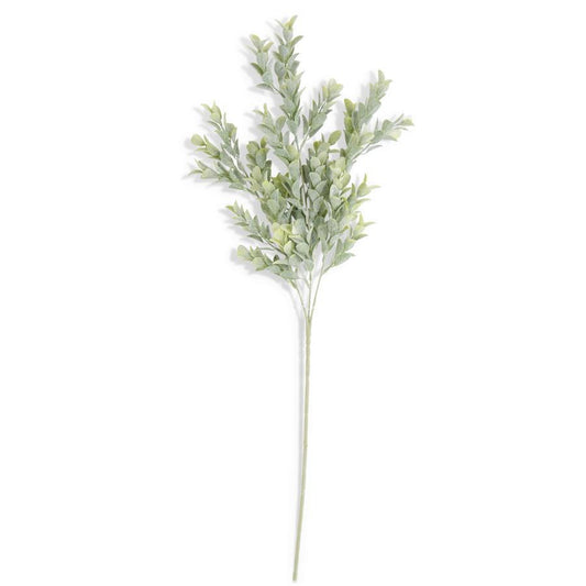 26" powdered boxwood stem