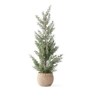 frosted juniper tree w/ blue berries in cement pot