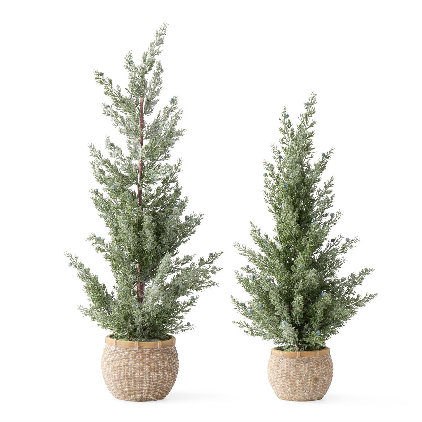 frosted juniper tree w/ blue berries in cement pot