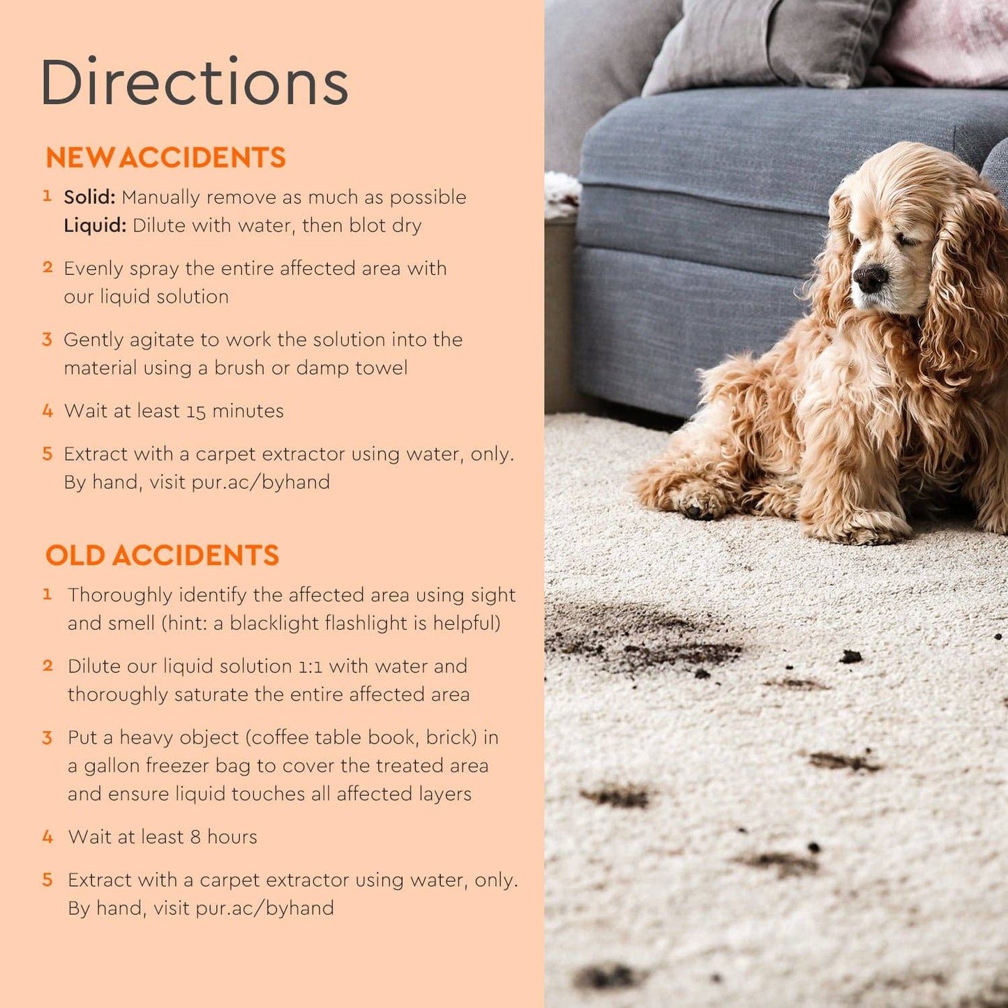 pet stain & odor remover