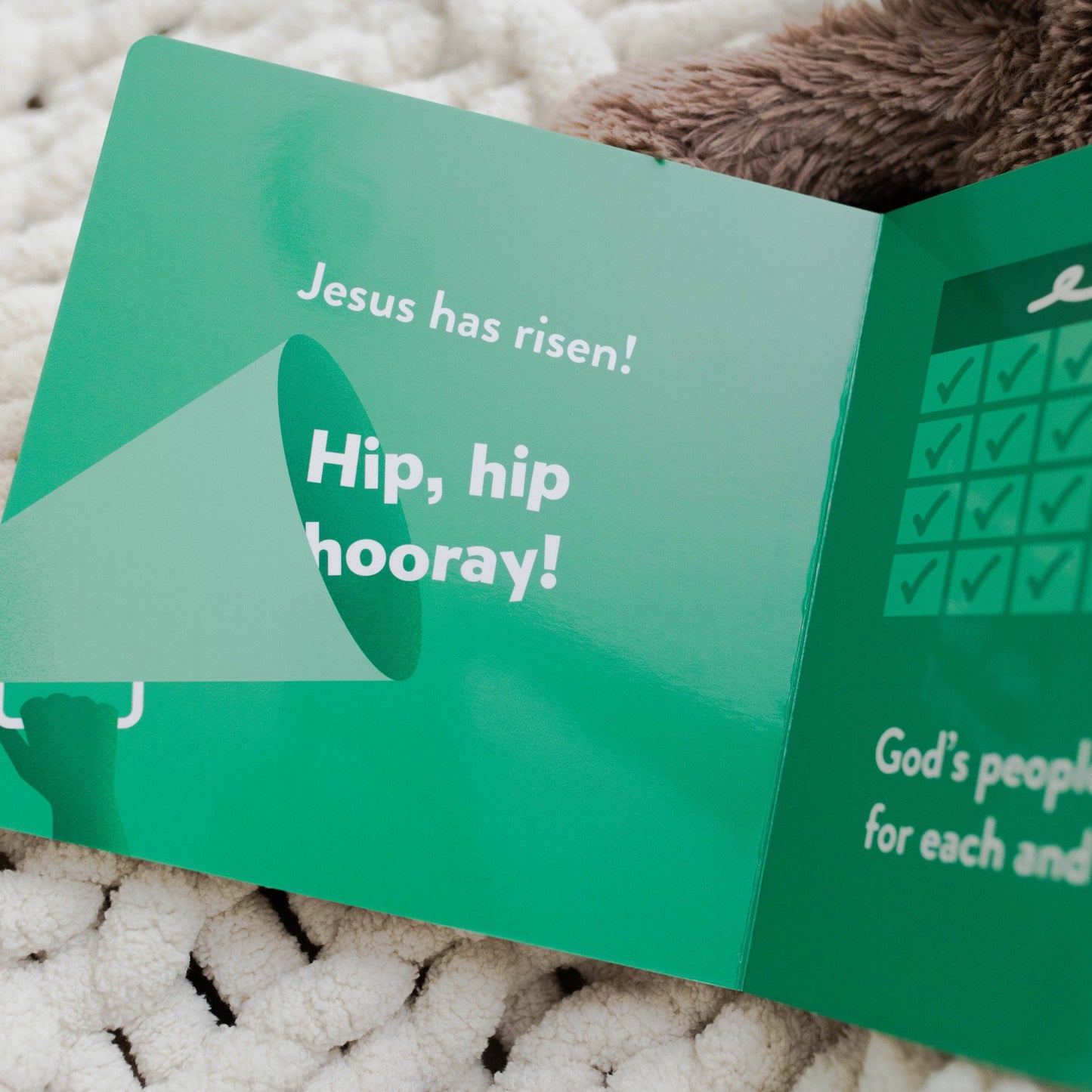 Jesus has risen board book