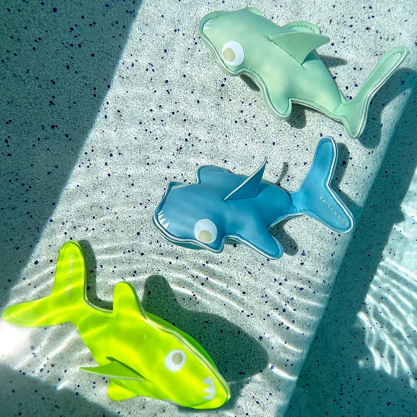salty the shark dive buddies, set of 3