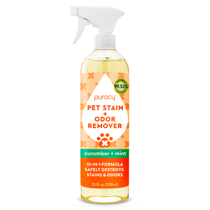 pet stain & odor remover