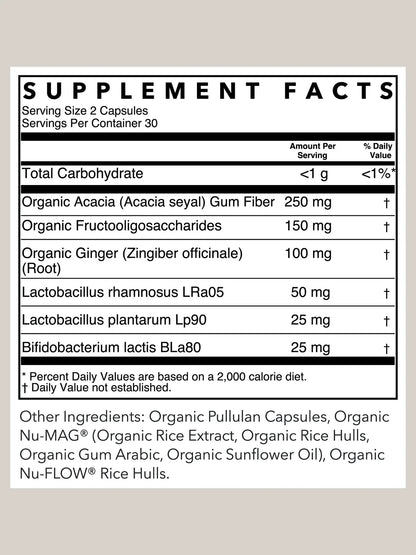 gut + digestive probiotic support