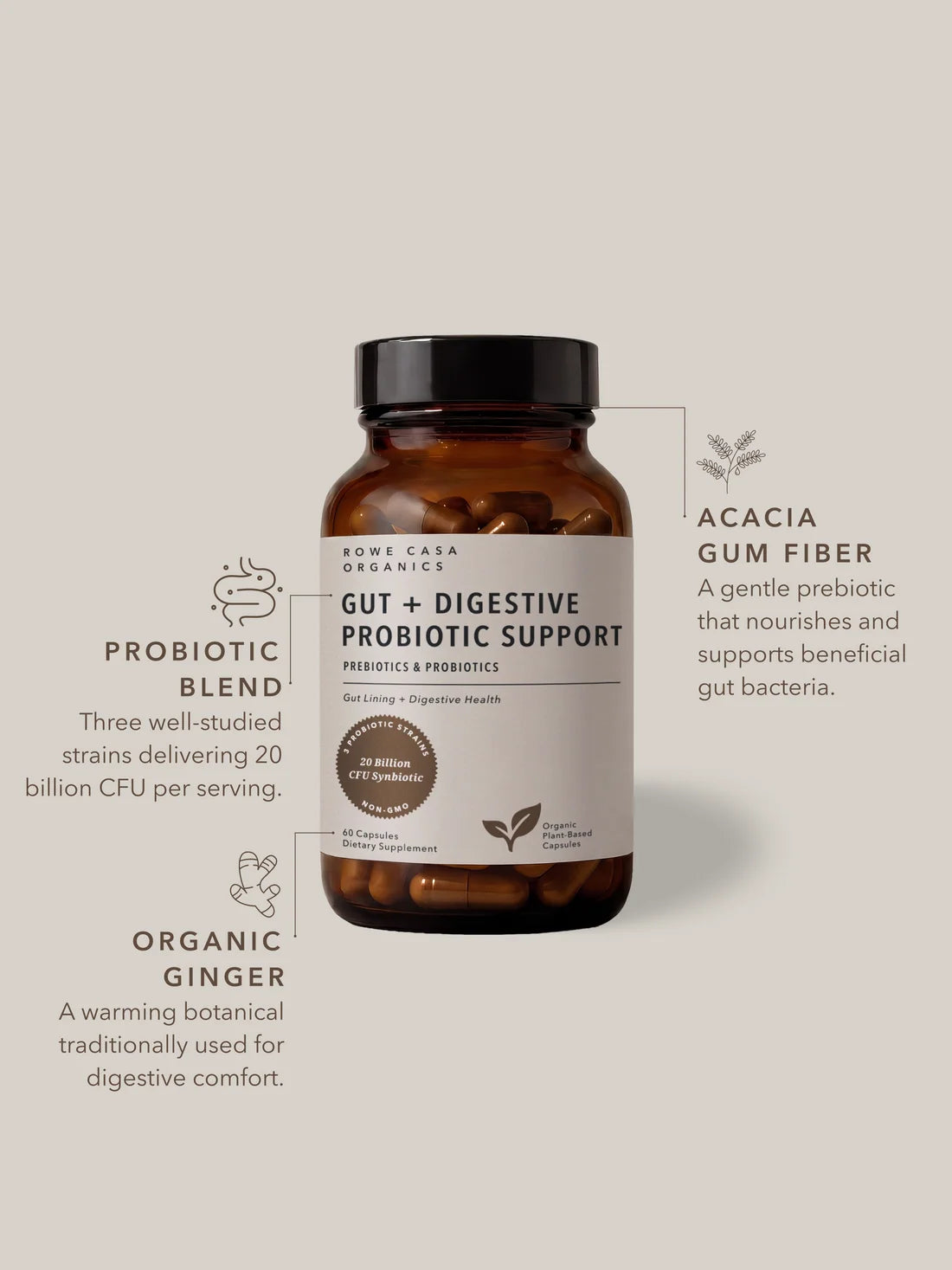 gut + digestive probiotic support