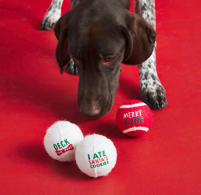 christmas tennis ball