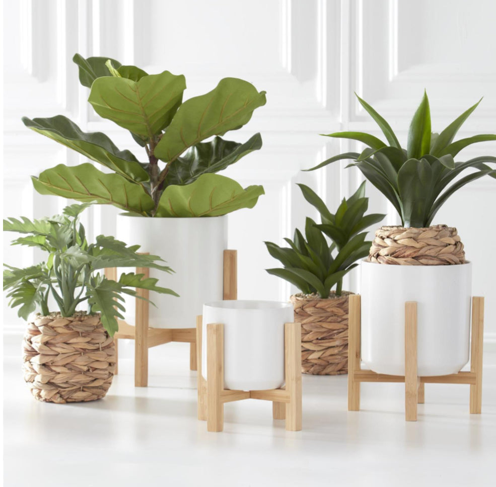 modern white ceramic pots + bamboo stands