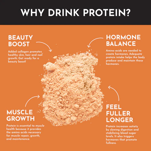 seasonal pumpkin spice protein powder