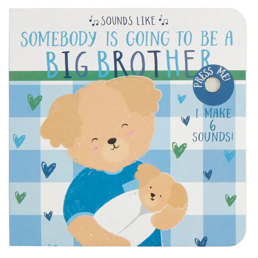 sounds like big brother book