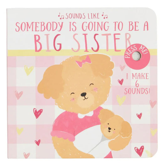 sounds like big sister book