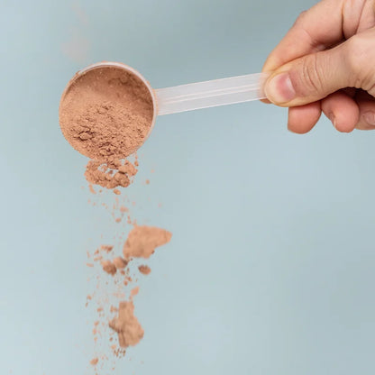 chocolate bone broth protein