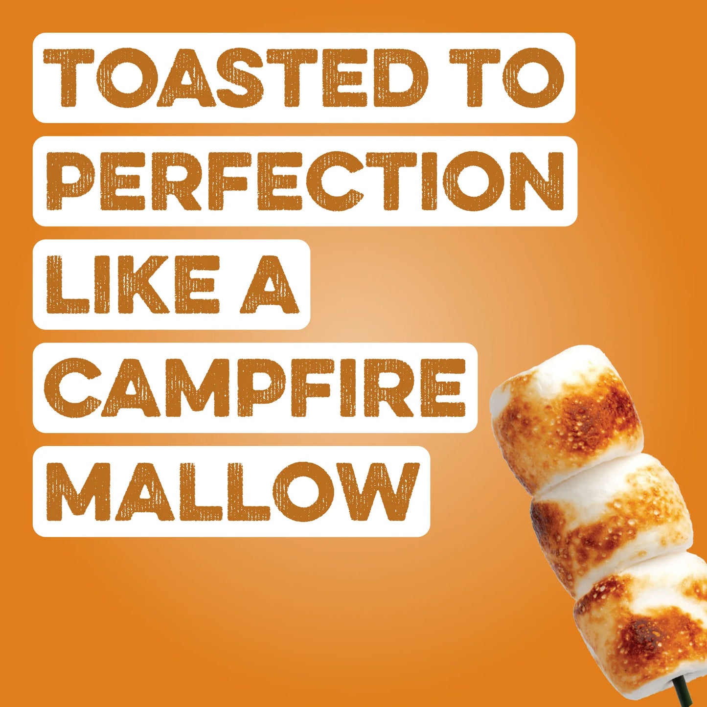 toasted marshmallow protein powder | 20 servings