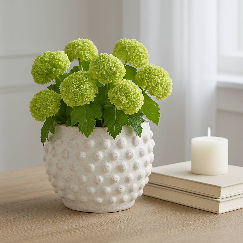 white terracotta round bubble rough finish planter