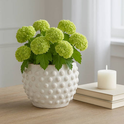 white terracotta round bubble rough finish planter
