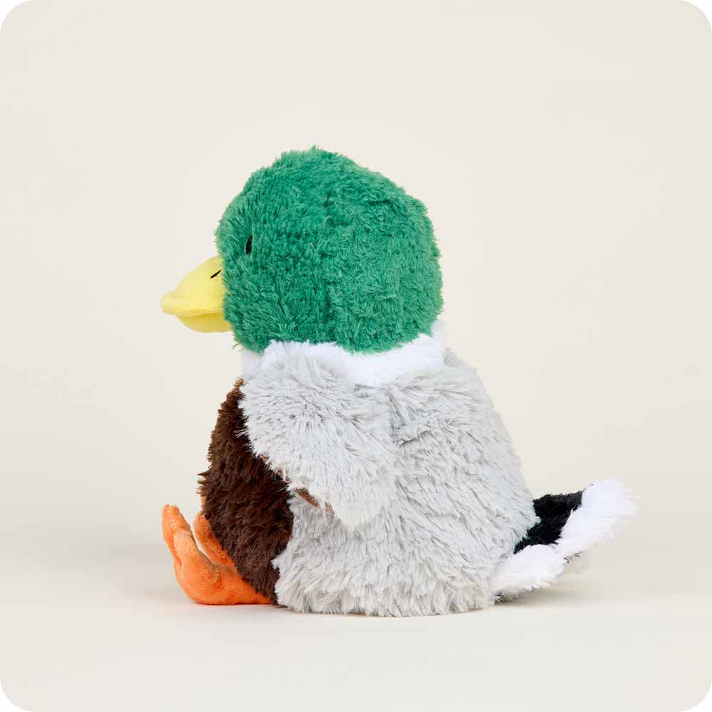 mallard warmies