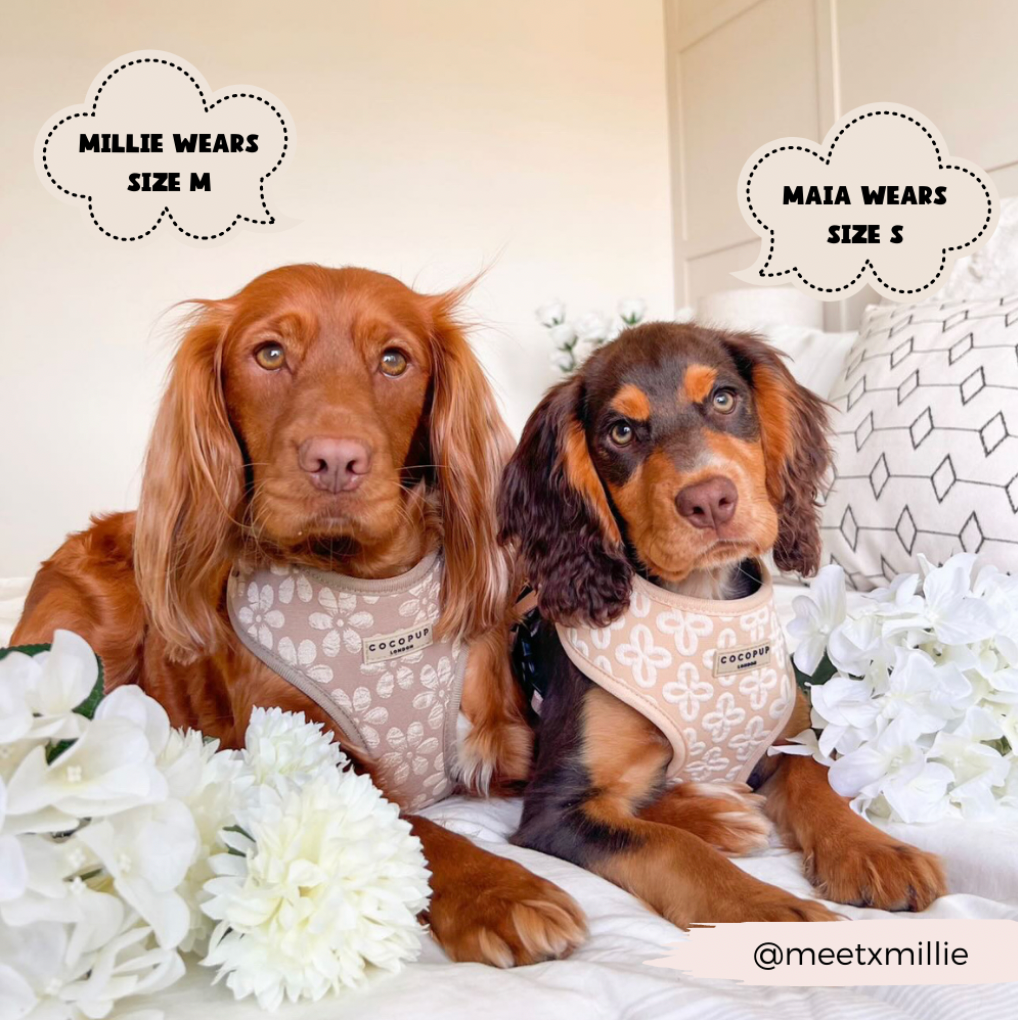 luxe - adjustable neck harness - mocha flower