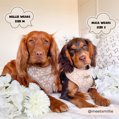 luxe - adjustable neck harness - mocha flower