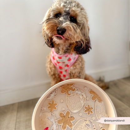 silicone slow feed dog bowl - pupberry fields