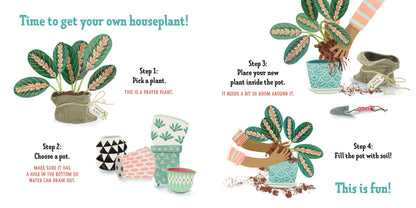 my first book of houseplants